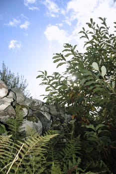 an old ancient irish stone wall with a sky background