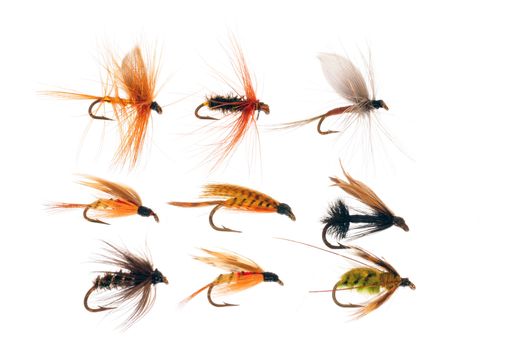 Colorful fishing flies