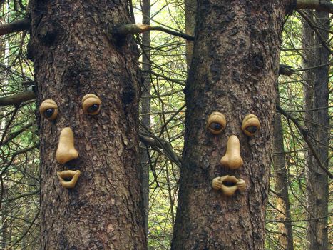 Men faces in a tree in the forest
