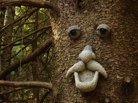 Man face in a tree in the forest