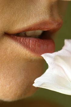 Lips of the woman and a white flower. It is made by means of a macro-ring