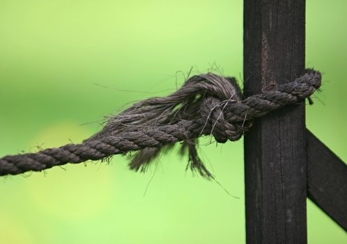Old thick cord of a vessel on a green background