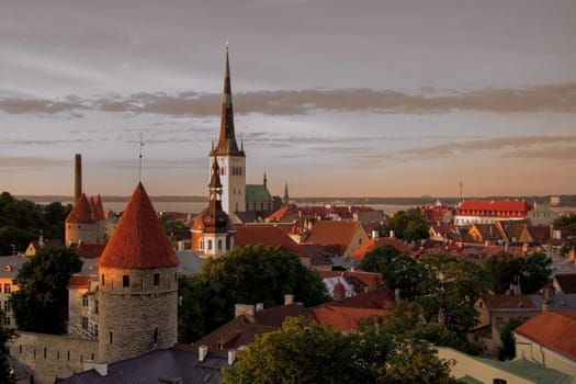 Red roofs of medieval buildings in the old town of Tallinn (Estonia)