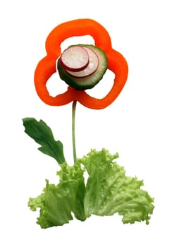 Eat healthy! Sliced vegetables in the form of a flower