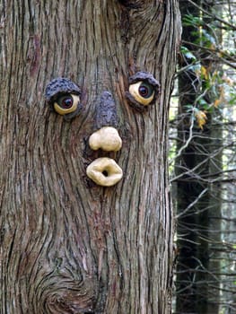 Woman face in a tree in the forest