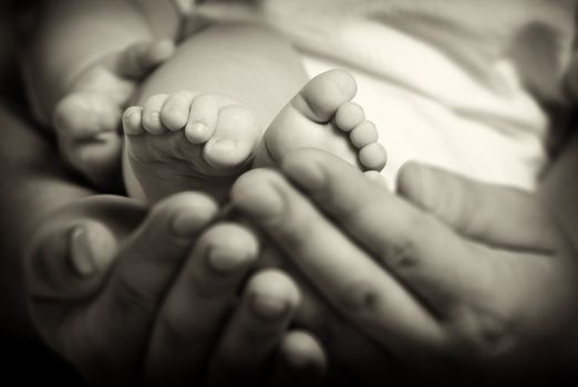 Foot the baby in adult hands. Age of the baby of 8 months.Old monochrome