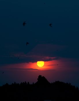 Picturesque sunset.Above mountain and a wood. Silhouette the image