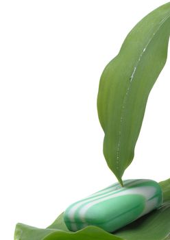 Flowing down water on a leaf on soap. It is isolated on a white background.