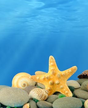 The underwater world. Pebble, cockleshells, a starfish on a background of underwater beams of the sun