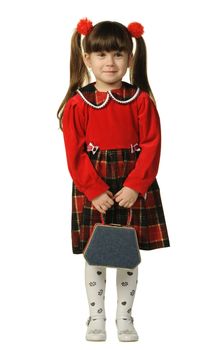 The little girl in a red dress. It is isolated on a white background