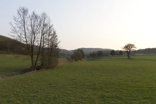 landscape with meadow and trees in the evening. south germany