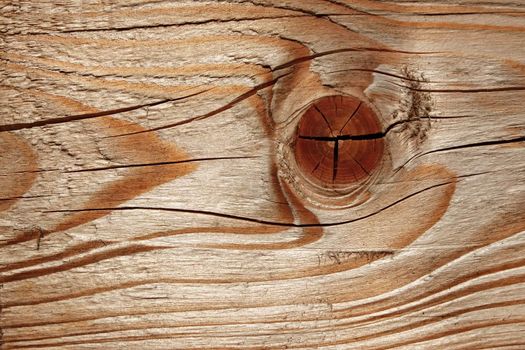 Structure macro of new wooden cutting board