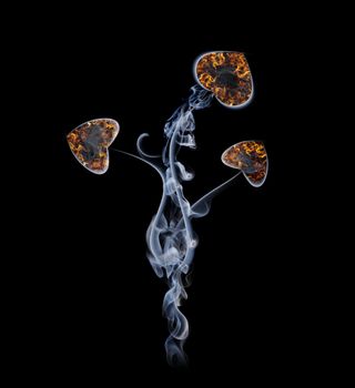 Flower in the form of hearts from a smoke and fire. A collage from fragments of a smoke on a black background