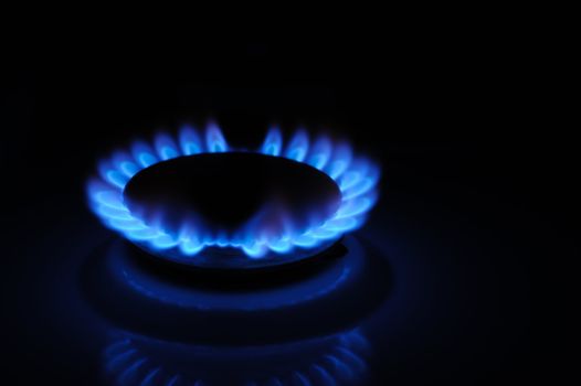 Gas. A household gas oven with the included gas