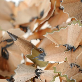 Pencil in an environment shavings. A photo close up