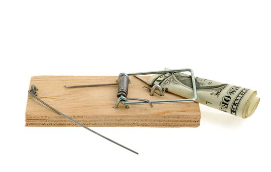 Mousetrap with dollar. The adaptation for catching mice and other fine rodents