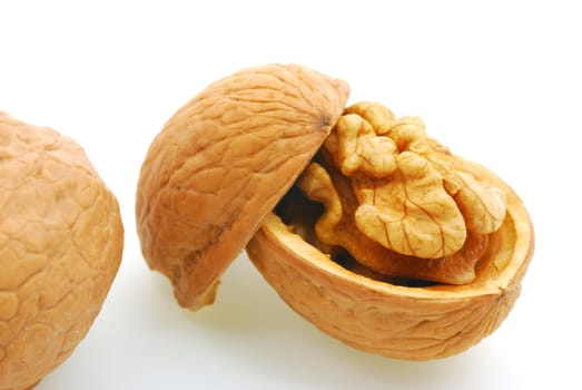 Walnut. It is isolated on the white background, the ripened fruit of a nut tree