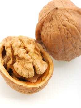 Walnut. It is isolated on the white background, the ripened fruit of a nut tree