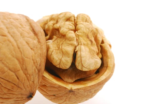 Walnut. It is isolated on the white background, the ripened fruit of a nut tree