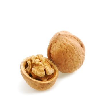Walnut. It is isolated on the white background, the ripened fruit of a nut tree