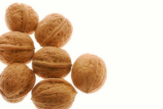 Walnut. It is isolated on the white background, the ripened fruit of a nut tree