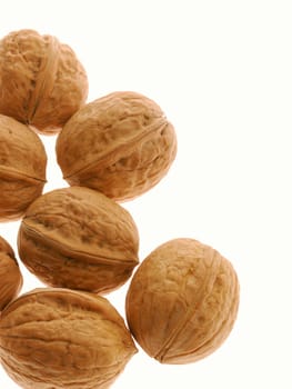 Walnut. It is isolated on the white background, the ripened fruit of a nut tree