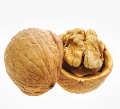 Walnut isolated and open. It is isolated on the white background, the ripened fruit of a nut tree