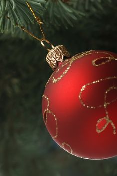 Christmas toy on a branch of a fur-tree. A glass sphere isolated on a white background
