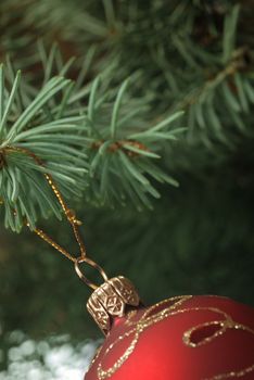 Christmas toy on a branch of a fur-tree. A glass sphere isolated on a white background
