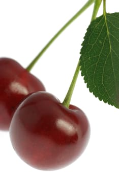 Cherry. A fruit of a fruit tree it is isolated on a white background