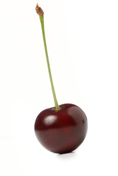 Cherry. A fruit of a fruit tree it is isolated on a white background