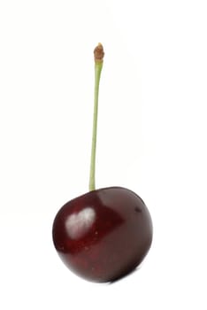 Cherry. A fruit of a fruit tree it is isolated on a white background