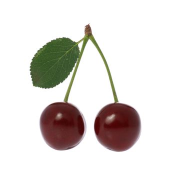 Cherry. A fruit of a fruit tree it is isolated on a white background