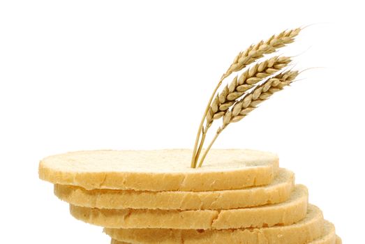 Wheat and cut bread. A ripe agriculture isolated on a white background