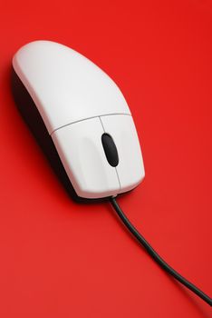 The computer mouse. The manipulator for management of the cursor on a computer