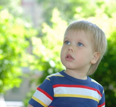 Portrait of the boy. The child with blue eyes, white hair