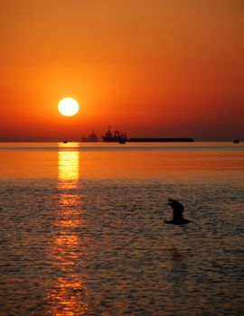 The ships on a background sunset. Coast of pacific ocean