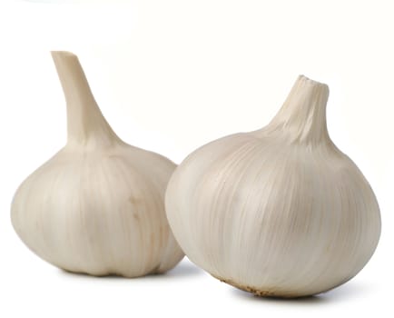 Garlic. A head of garlic isolated on a white background