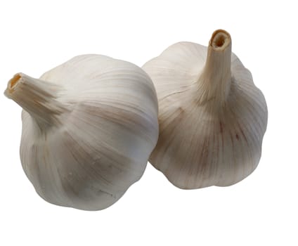 Garlic. A head of garlic isolated on a white background