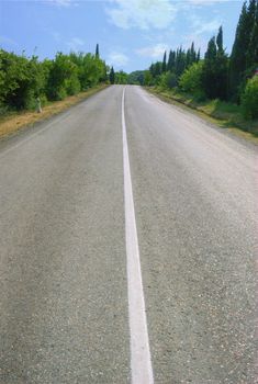 Highway with dense vegetation on a roadside - leaving in a distance (the contrast sky)