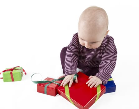 young child unpacking red present. white background. single person