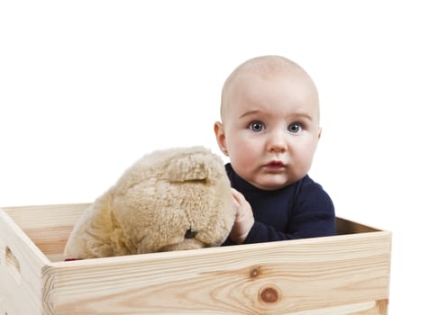 young child with toy in wooden box. white background