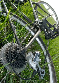 Bicycle on a field with green grass