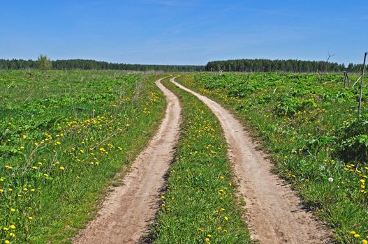 Country dirt road across the meadow, spring sunny day
