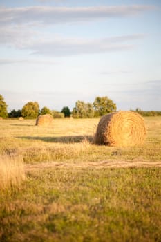 Golden Hay Bales in the countryside