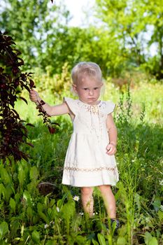 serious small girl in a green grass