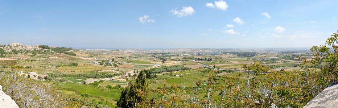 150 degree panorama of Maltese countryside with foreground vegetation. Stitched from 7 individual images shot at 18mm. The image is taken from Mdina.
