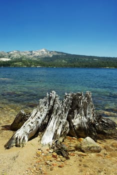Clear blue Sierra lake in summertime