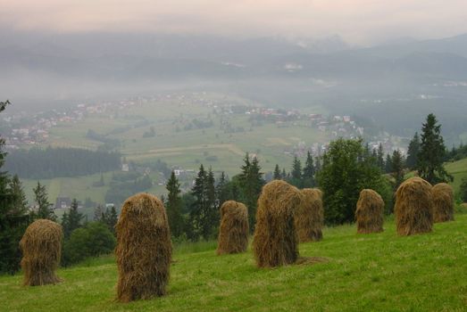 Hay in Tatra mountains