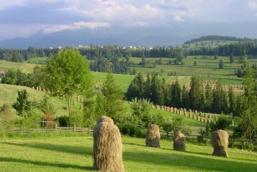 Stacks of hay in mountains